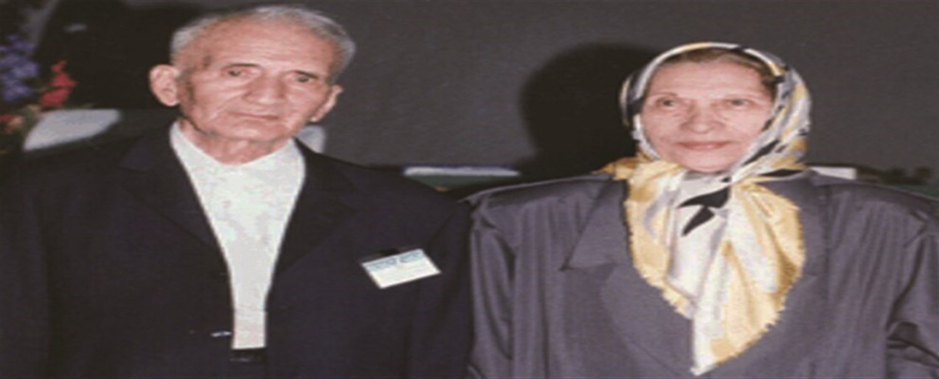 مهندس افضلی پور